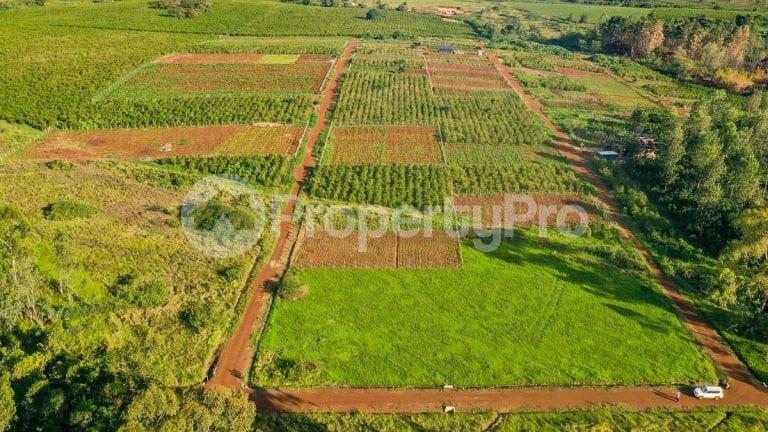 Land for sale Ruiru Kiambu