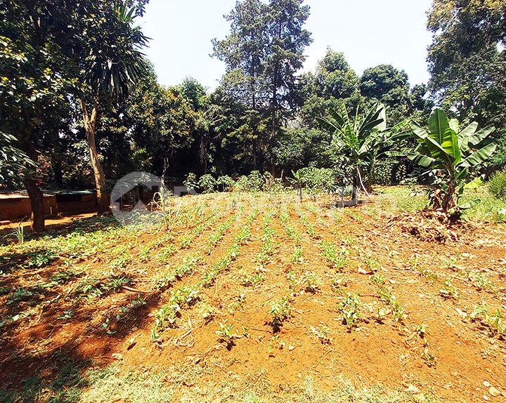 Land for sale Lavington Nairobi