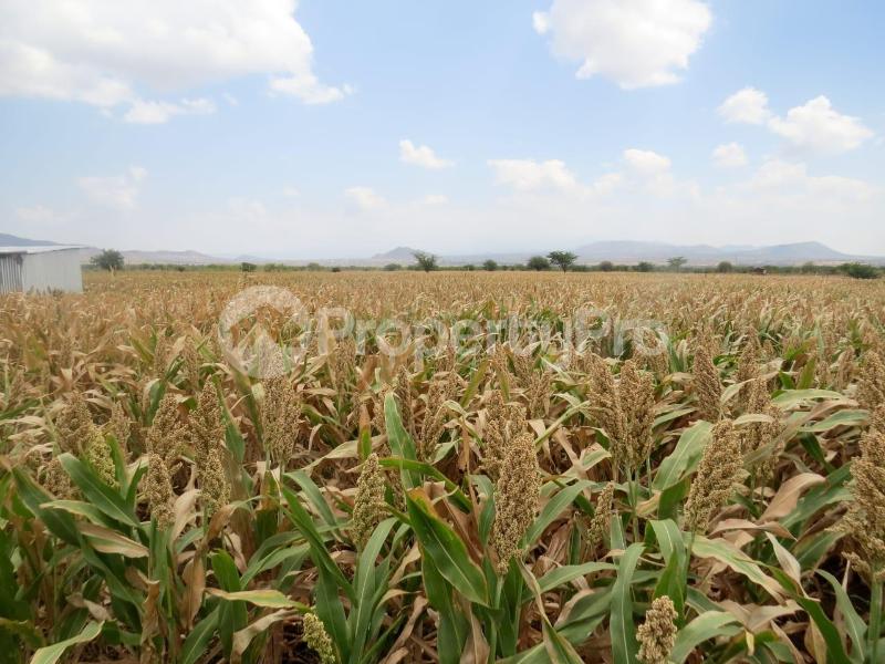Land for sale Taveta Taita-Taveta