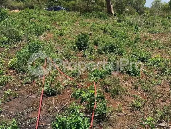Land for sale Diani Mombasa