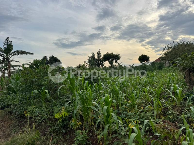 Land for sale Kira kitukutwe buwava Kira Wakiso Central - 6