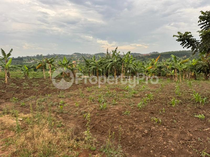 Land for sale Kira kitukutwe buwava Kira Wakiso Central - 0