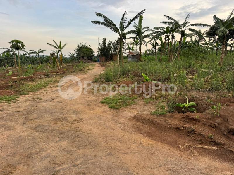 Land for sale Kira kitukutwe buwava Kira Wakiso Central - 5