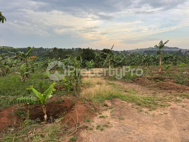 Land for sale Kira kitukutwe buwava Kira Wakiso Central - 3