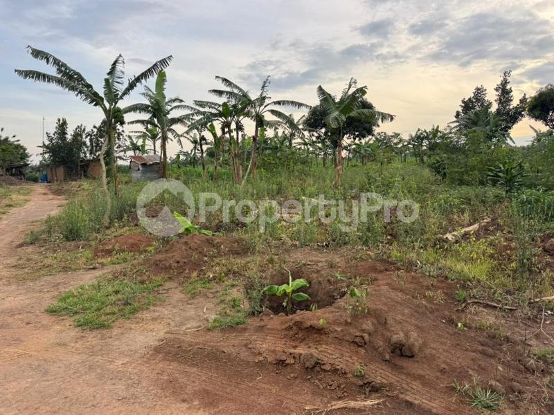 Land for sale Kira kitukutwe buwava Kira Wakiso Central - 1