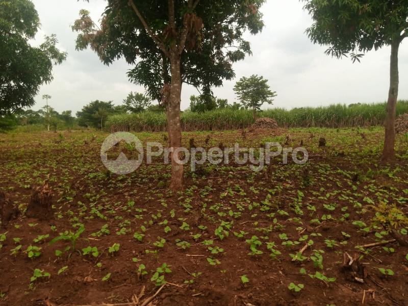 Land for sale Iganga namungalwe Iganga Eastern - 0