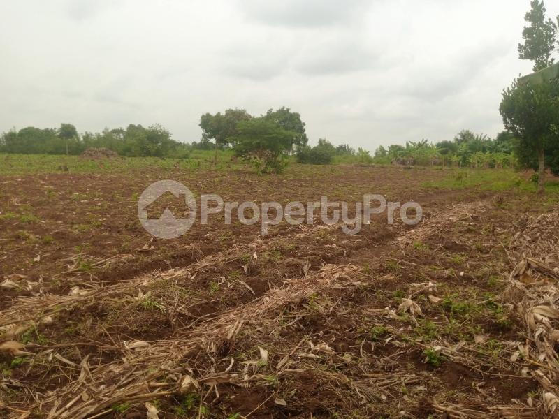 Land for sale Iganga namungalwe Iganga Eastern - 2