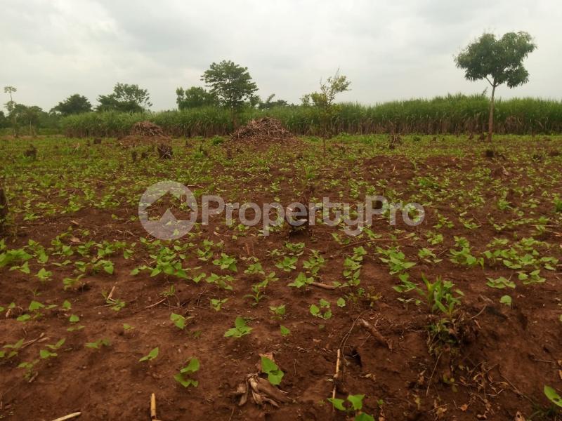 Land for sale Iganga namungalwe Iganga Eastern - 1