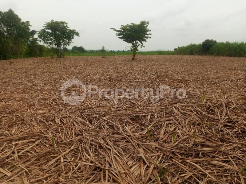 Land for sale Iganga namungalwe Iganga Eastern - 3