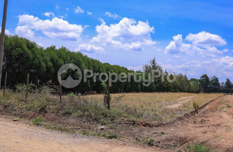 Residential Land for sale Nanyuki Airstrip  Nanyuki Nanyuki