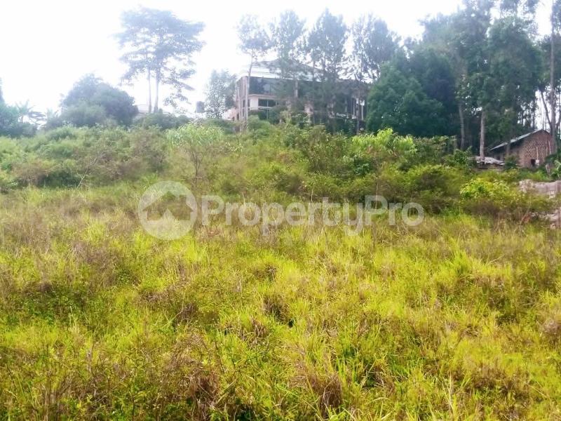 Land for sale Namilyango road  Goma Mukono Central - 3