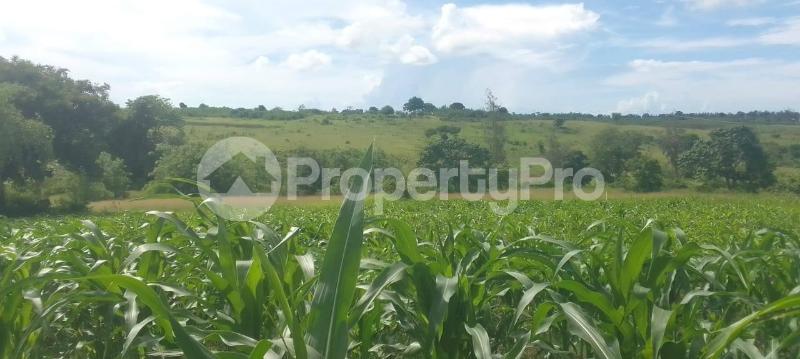 Agricultural Land for sale Matuga Matuga Matuga Kwale