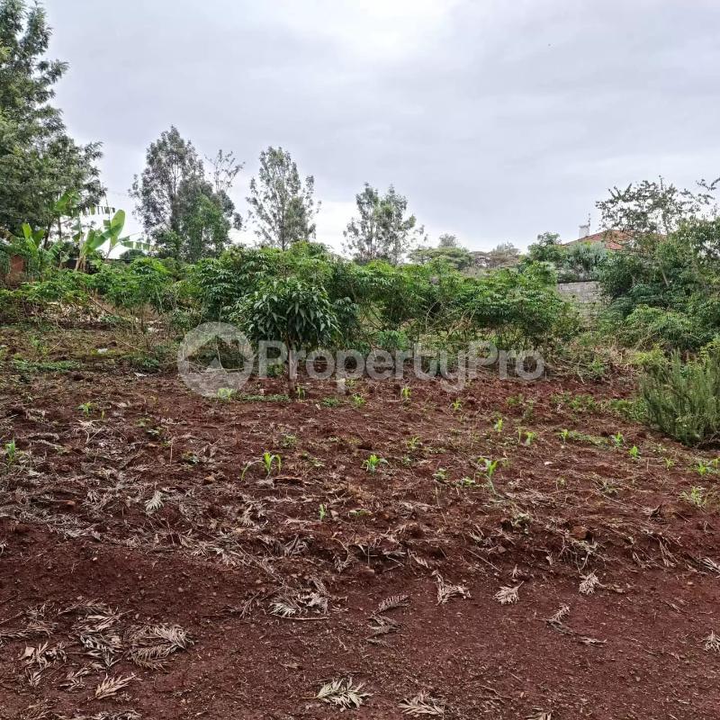 Land for sale Muthaiga Nairobi