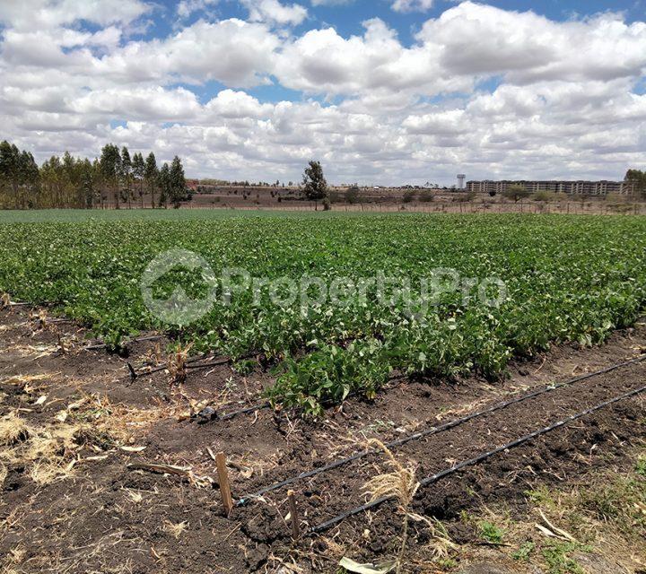 Land for sale Kisaju Kitengela