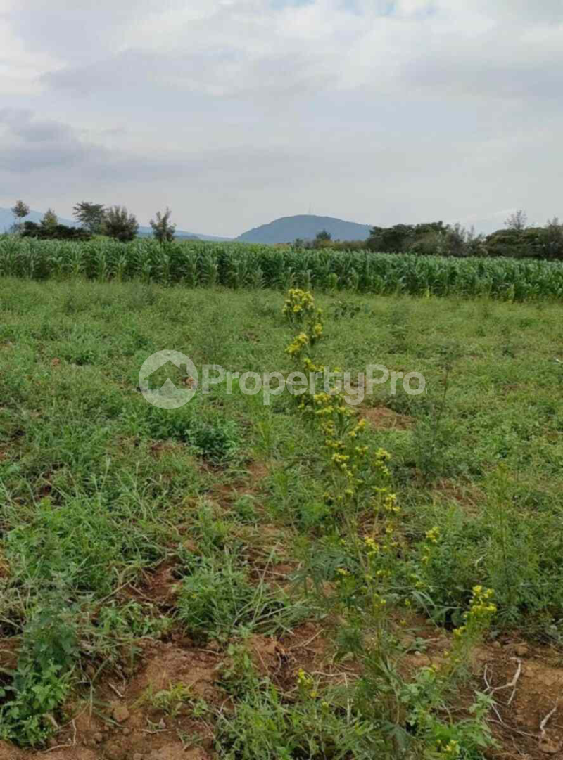 Land for sale Naivasha East Nakuru