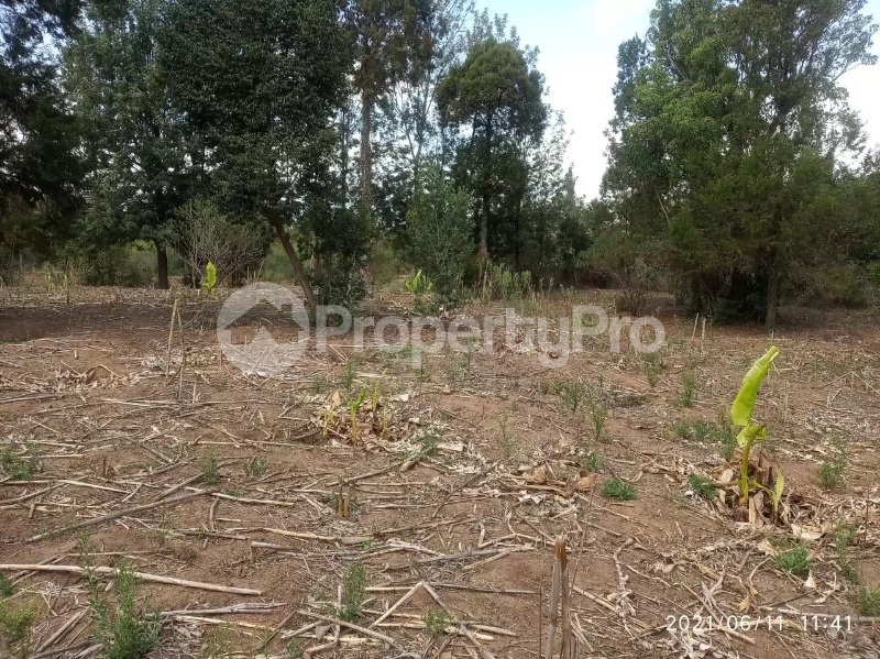 Land for sale Nanyuki Nanyuki