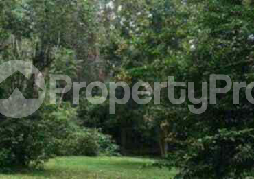 Land for sale Karen Nairobi