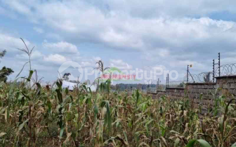 Land for sale Kikuyu Kiambu