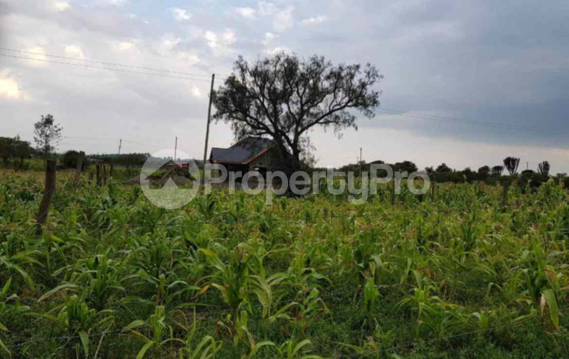 Land for sale Nakuru Town Nakuru