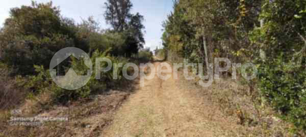 Land for sale Nanyuki Nanyuki