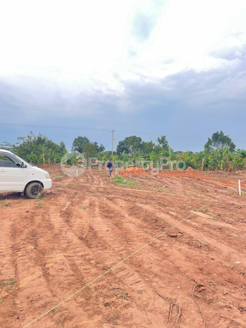 Land for sale Kiwenda on Gayaza road  Gayaza Wakiso Central - 2