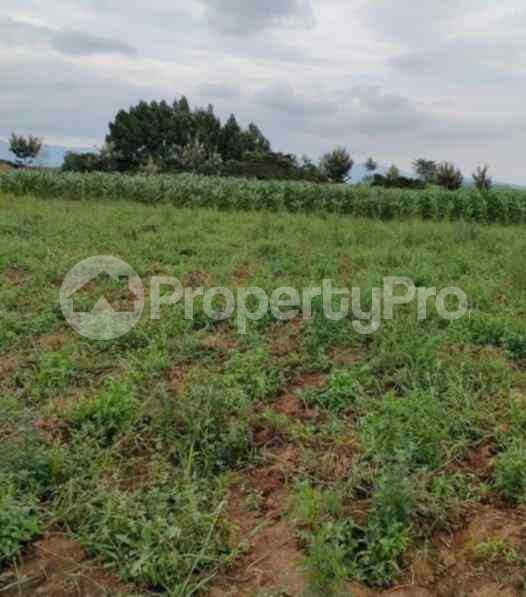 Land for sale Naivasha East Nakuru
