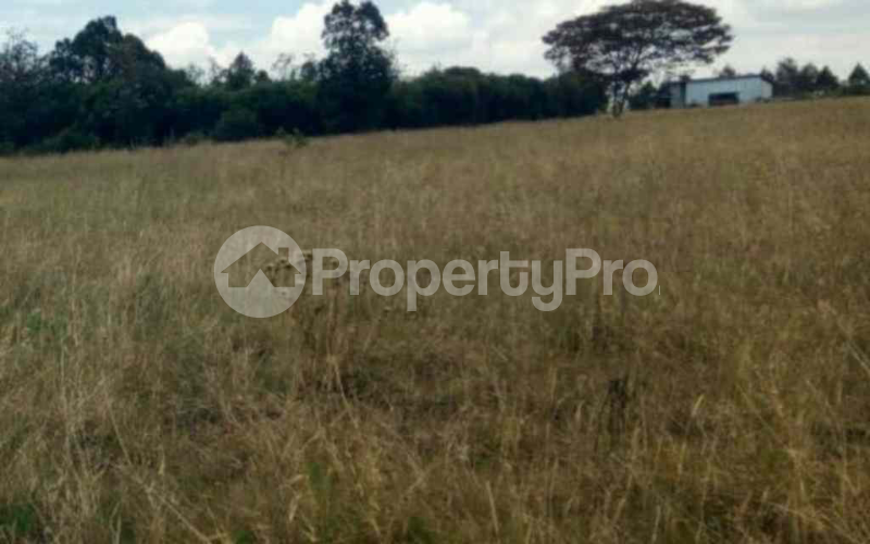 Land for sale Hurlingham Nairobi