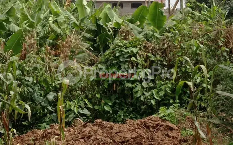 Land for sale Kikuyu Kiambu