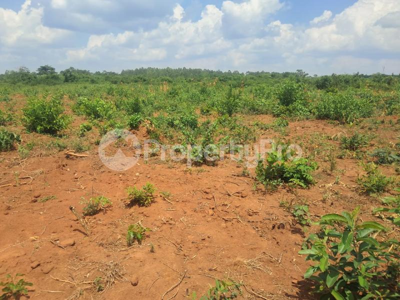 Land for sale Hoima road  Namayumba Wakiso Central - 0