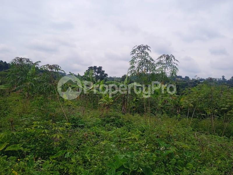 Land for sale nakasajja Gayaza Wakiso Central - 0