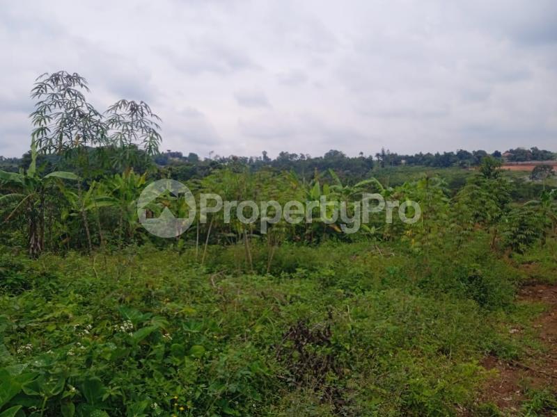Land for sale nakasajja Gayaza Wakiso Central - 1