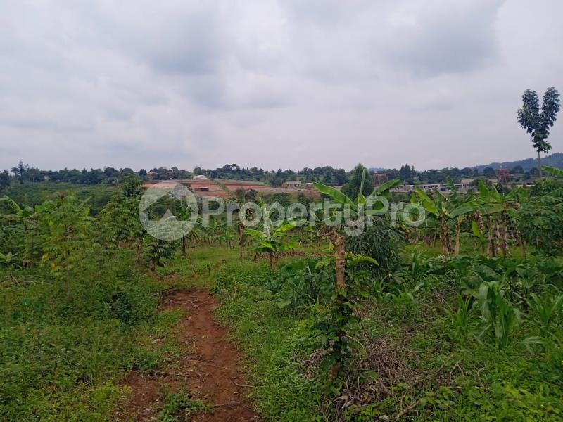 Land for sale nakasajja Gayaza Wakiso Central - 2