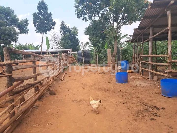 Land for sale Wabitungulu kalerwe Kampala Central Kampala Central - 4