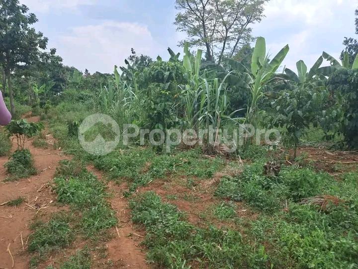 Land for sale Wabitungulu kalerwe Kampala Central Kampala Central - 2