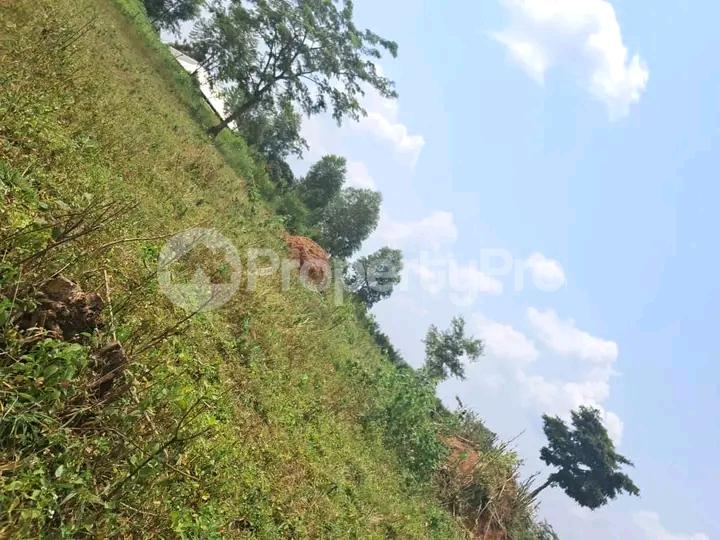 Land for sale Wabitungulu kalerwe Kampala Central Kampala Central - 3