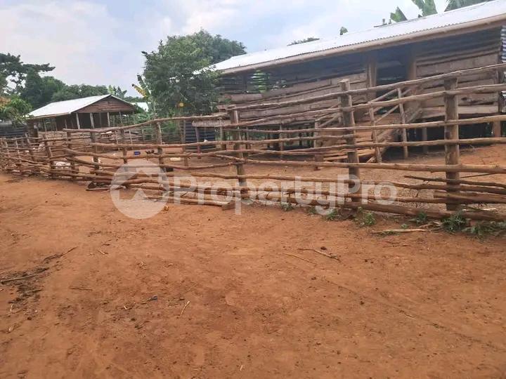 Land for sale Wabitungulu kalerwe Kampala Central Kampala Central - 0