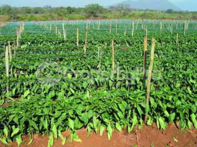 Land for sale Kajiado Kajiado