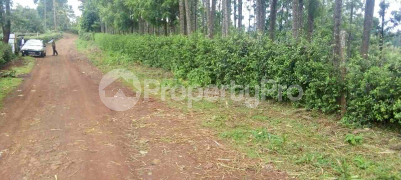 Land for sale Nyeri Nyeri