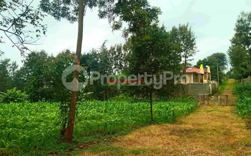Land for sale Kiuu Kiambu