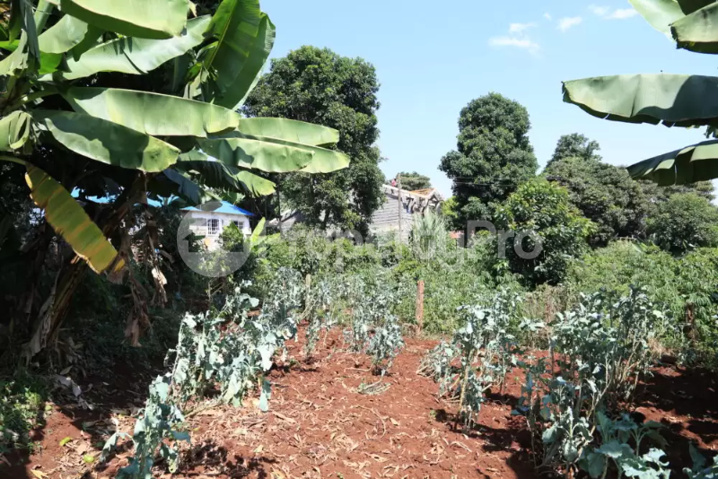 Land for sale Kitisuru Nairobi