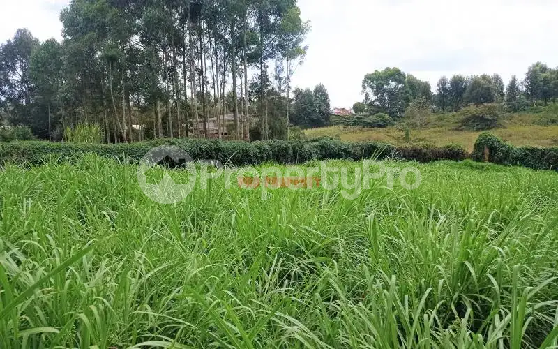Land for sale Ngong Kajiado