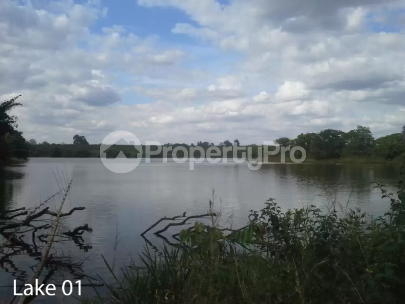 Land for sale Thika Kiambu