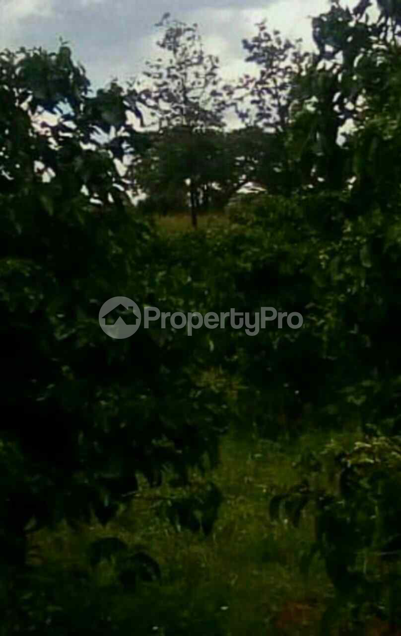 Land for sale Ruiru Kiambu