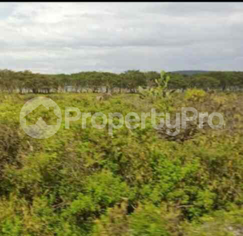 Land for sale Biashara (Naivasha) Nakuru