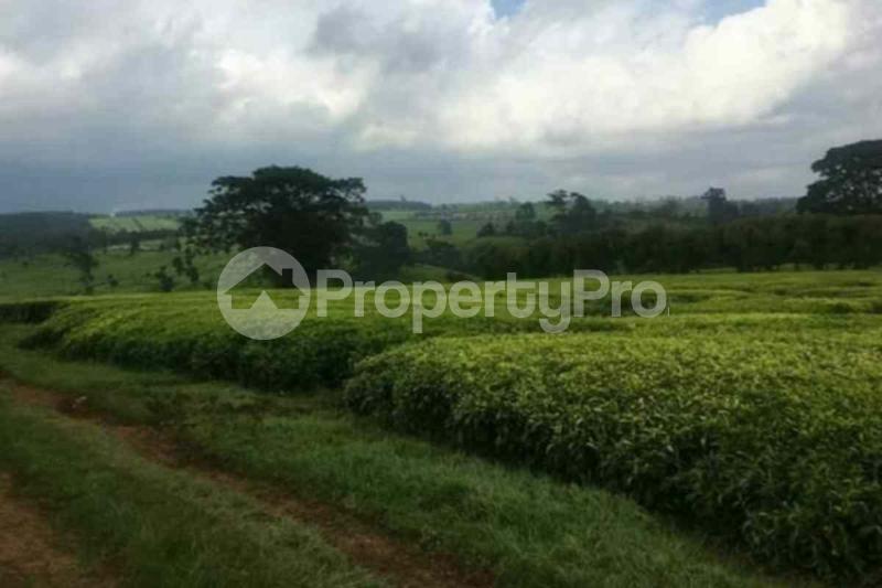 Land for sale Tetu Nyeri