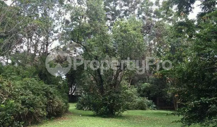 Land for sale Lavington Nairobi