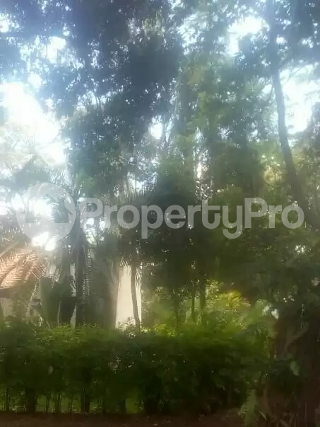 Land for sale Muthaiga Nairobi