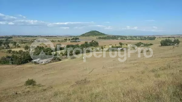 Land for sale Nyeri Nyeri