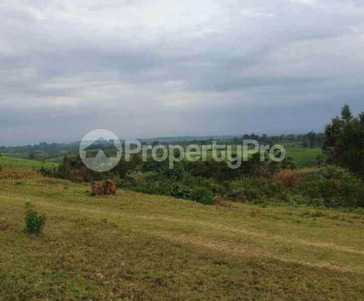 Land for sale Tigoni Limuru
