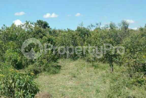 Land for sale Laikipia Laikipia